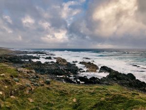 Cape Wickham Coastline